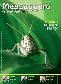 Messaggero di sant'Antonio #1347